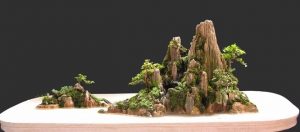 Hòn non bộ có nên đặt trong nhà hay không?