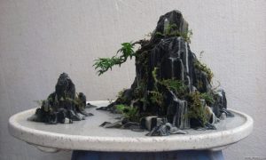 Tính chất của đá san hô trong thiết kế hòn non bộ