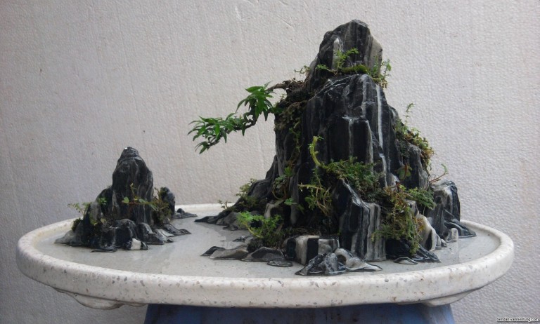 Tính chất của đá san hô trong thiết kế hòn non bộ